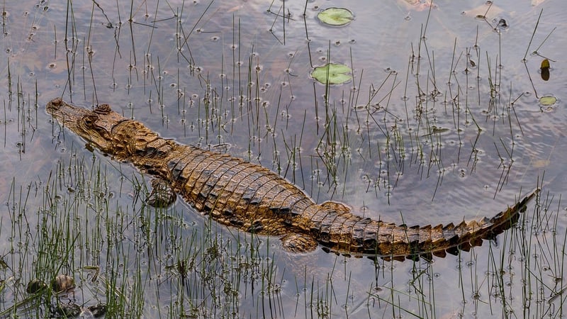 Costa Rica